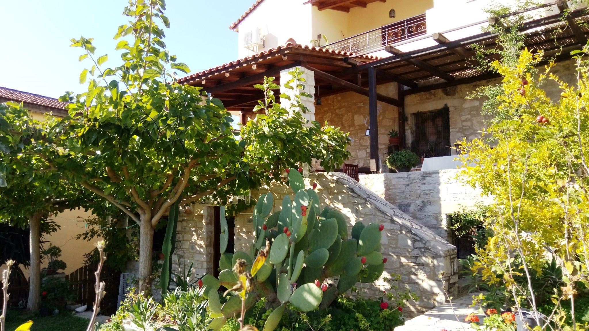 PICTURE FILIZA GARDEN