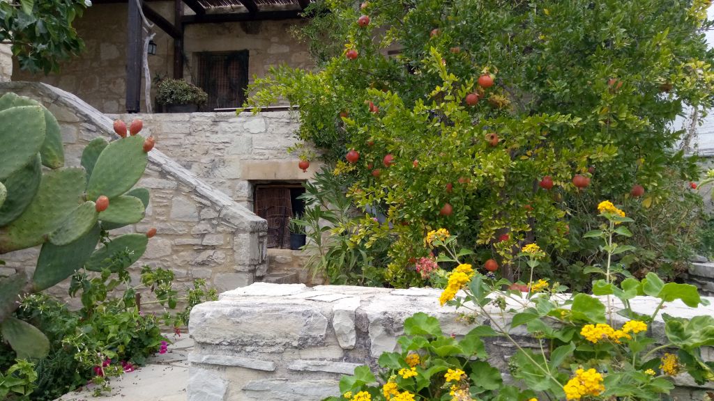 picture filiza garden